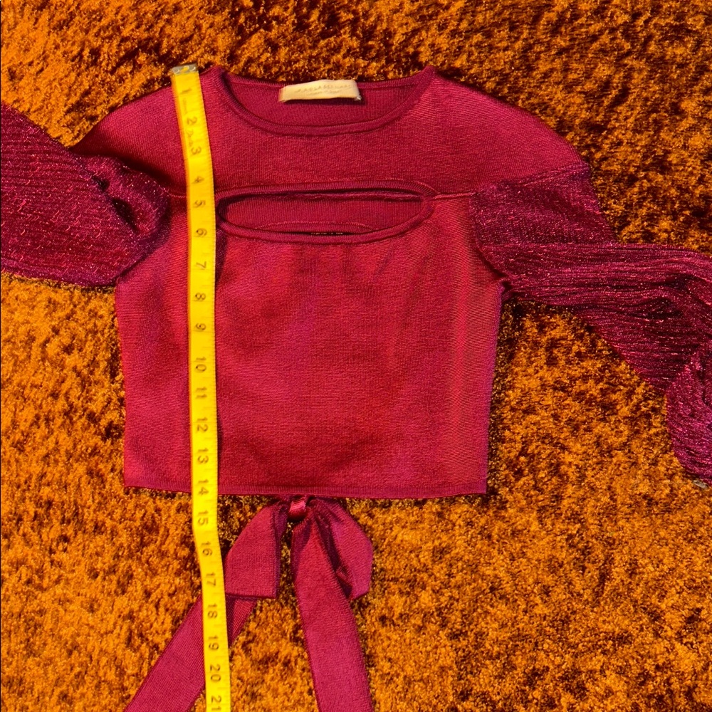 Zara Burgundy Crop Top with Puff Sleeves - Picture 3 of 5